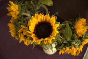 Sunflowers at harvest festival 